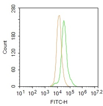 Phospho-Bcr (Tyr177) Rabbit Polyclonal Antibody (BF488)