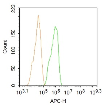 Lyn Rabbit Polyclonal Antibody (BF647)