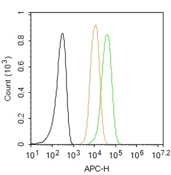 IL-1RA Rabbit Polyclonal Antibody (BF647)