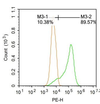 TRP12/TRPV4 Rabbit Polyclonal Antibody