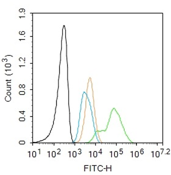Hi95 Rabbit Polyclonal Antibody