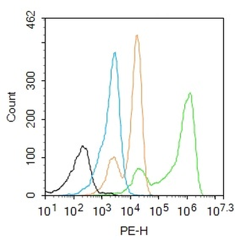 Hi95 Rabbit Polyclonal Antibody