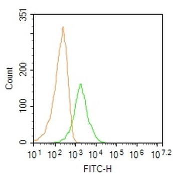 TRPM4 Rabbit Polyclonal Antibody
