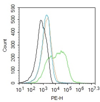 PROCR Rabbit Polyclonal Antibody