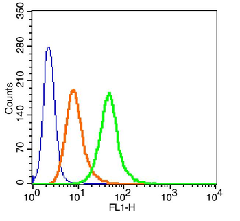 Nucleolin/C23 Rabbit Polyclonal Antibody