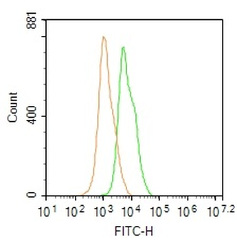 Nucleolin/C23 Rabbit Polyclonal Antibody