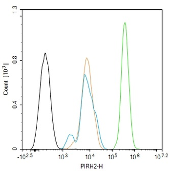 PIRH2 Rabbit Polyclonal Antibody