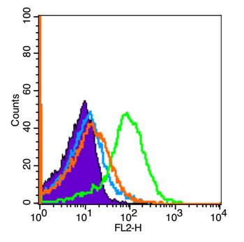 TREM1 Rabbit Polyclonal Antibody
