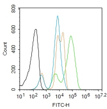 H2AX (Ubiquityl Lys119) Rabbit Polyclonal Antibody