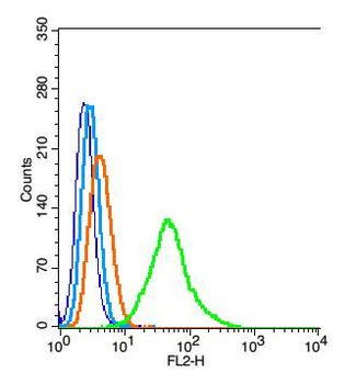 FAM98A Rabbit Polyclonal Antibody