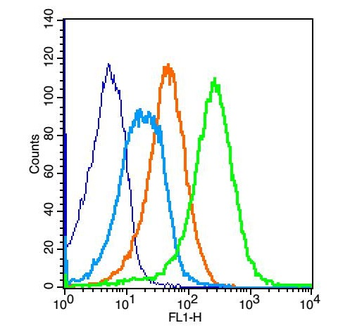 PCDH12 Rabbit Polyclonal Antibody