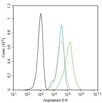 Angiotensin II Rabbit Polyclonal Antibody