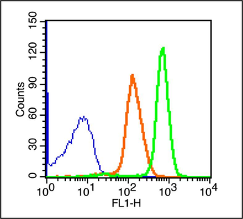 CD45 Rabbit Polyclonal Antibody