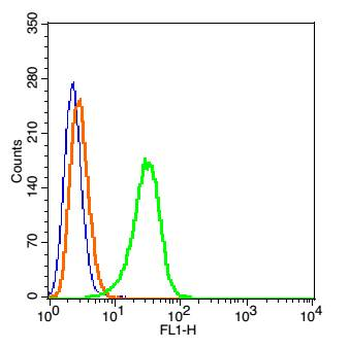CLEC2 Rabbit Polyclonal Antibody