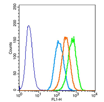 Elastin Rabbit Polyclonal Antibody