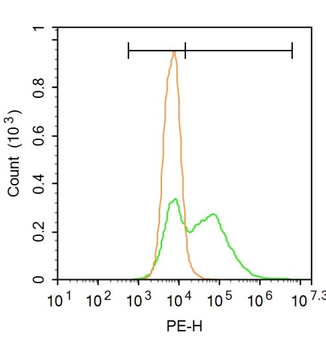 NEDD4 Rabbit Polyclonal Antibody