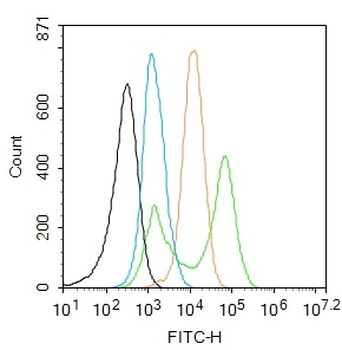 TNF alpha Rabbit Polyclonal Antibody