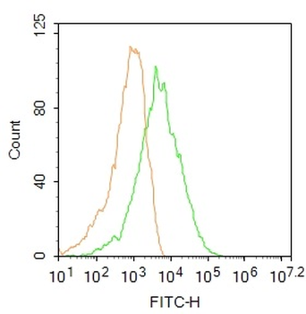 CD45 Rabbit Polyclonal Antibody (FITC)