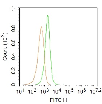 TFRC Rabbit Polyclonal Antibody (FITC)