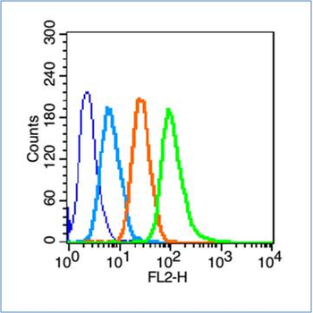 CD133 Rabbit Polyclonal Antibody