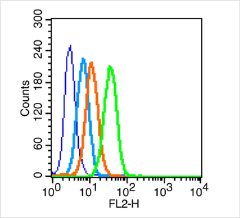 IL-1R1 Rabbit Polyclonal Antibody