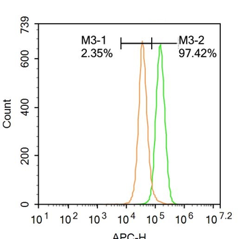 LYRIC Rabbit Polyclonal Antibody