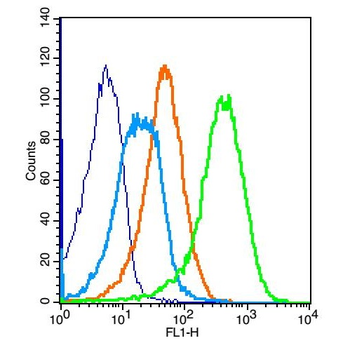 ADAM8 Rabbit Polyclonal Antibody