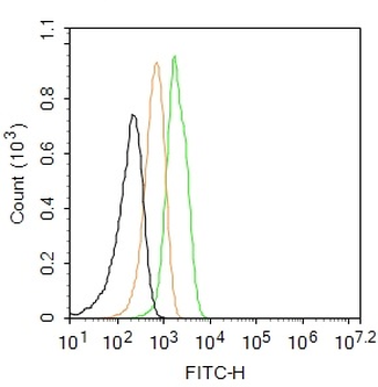 CD163 Rabbit Polyclonal Antibody (FITC)