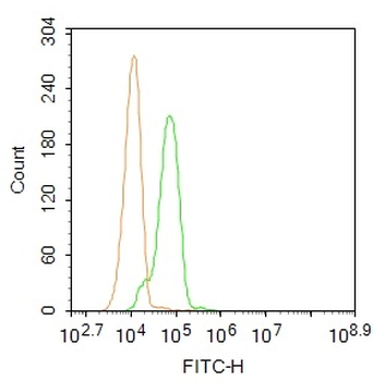 HIF-1 Alpha Rabbit Polyclonal Antibody (FITC)