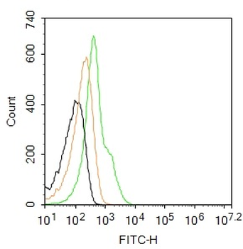 CD34 Rabbit Polyclonal Antibody (FITC)