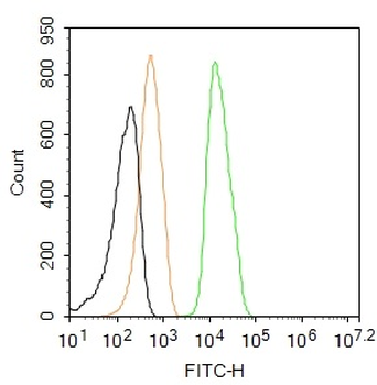 Cyclin B1 Mouse Monoclonal Antibody (FITC)