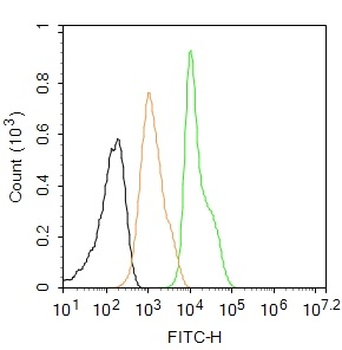 Cyclin B1 Mouse Monoclonal Antibody (FITC)