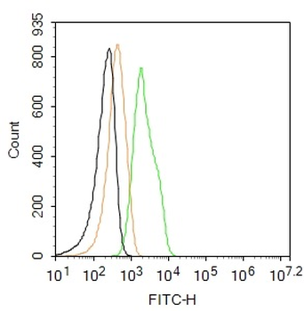 Nurr1 Rabbit pAb, FITC conjugated