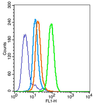 Bax Rabbit Polyclonal Antibody