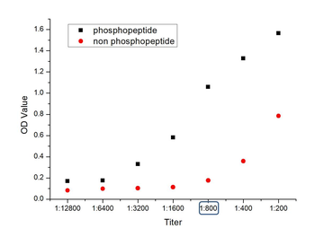 Phospho-Bax (Ser184) Rabbit Polyclonal Antibody