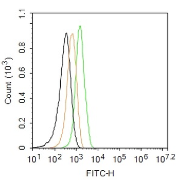Leptin receptor Rabbit pAb, FITC conjugated