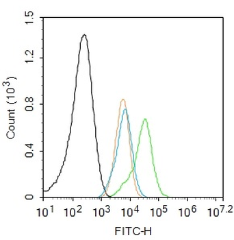Phospho-Bcl-2 (Thr129) Rabbit Polyclonal Antibody