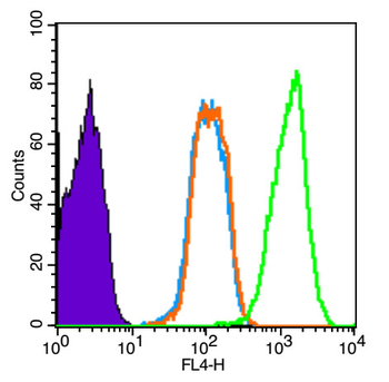 Phospho-Smad3 (Ser204) Rabbit Polyclonal Antibody