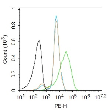 BRN3A Rabbit Polyclonal Antibody