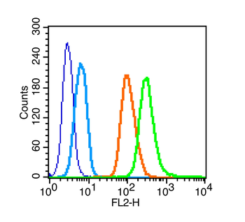 Phospho-c-Kit (Ser741) Rabbit Polyclonal Antibody