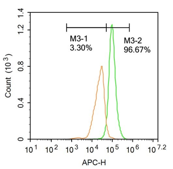 MST1R Rabbit Polyclonal Antibody