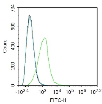 CD47 Rabbit Polyclonal Antibody