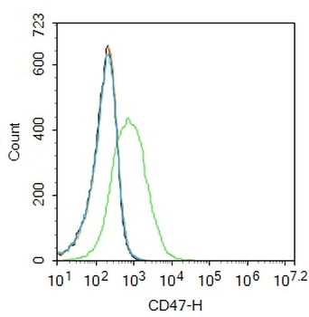 CD47 Rabbit Polyclonal Antibody