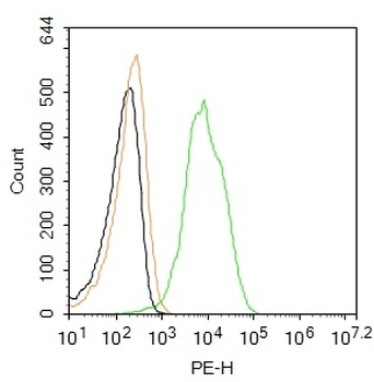 RAGE Rabbit Polyclonal Antibody (PE)