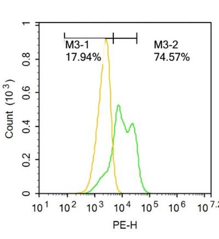 Cardiac Troponin T Rabbit Polyclonal Antibody (PE)