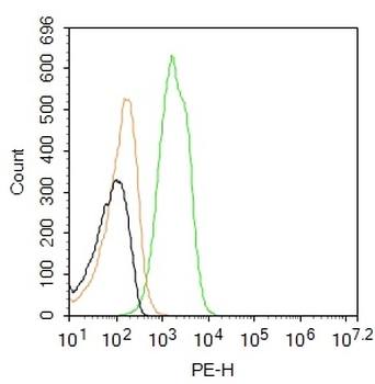 GABABR1 Rabbit Polyclonal Antibody (PE)