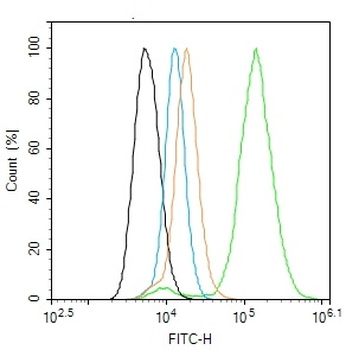 LDLR Rabbit Polyclonal Antibody