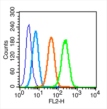 IL-1R1 Rabbit Polyclonal Antibody