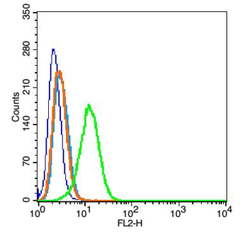 STAT3 Rabbit Polyclonal Antibody