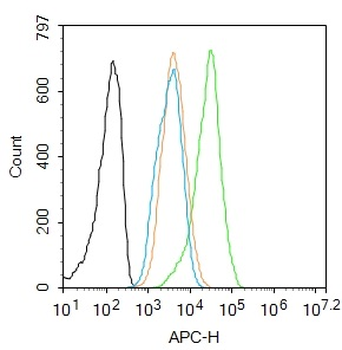 C-jun Rabbit Polyclonal Antibody